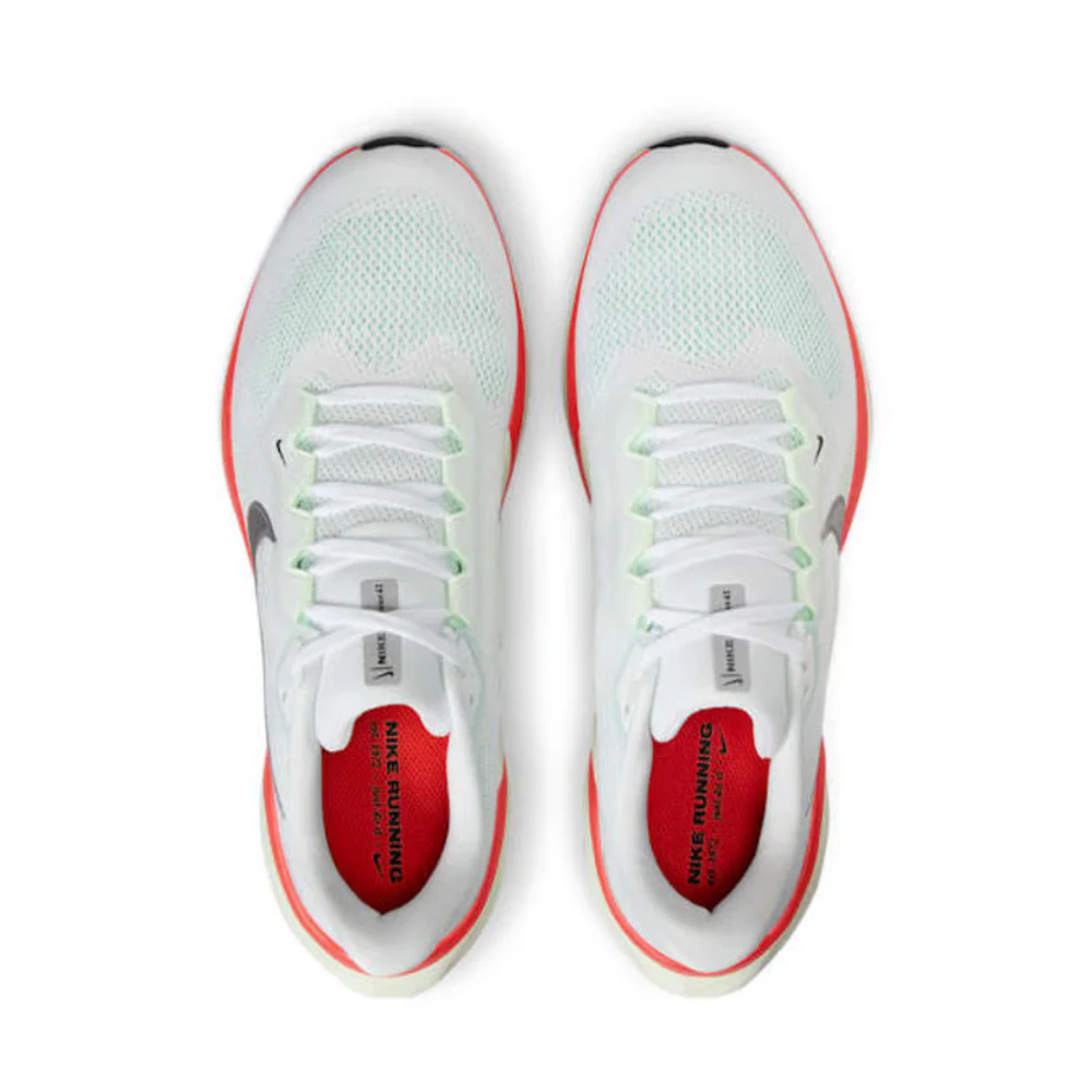 Air Zoom Pegasus 41 For Men - Image 71